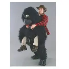 Abe maskotten - Maskotter du sidder på