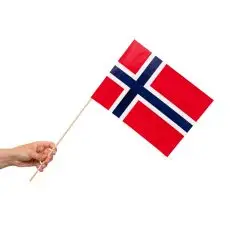 10 PAPIRSFLAG 20X30CM NORGE - Hurraflag