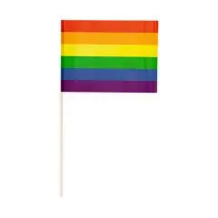 Regnbueflag på træpind - Hurraflag