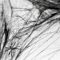 Edderkoppespind 100 g, sort - Sort-tema