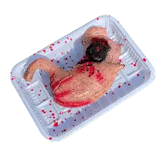 Blodigt organ i kødbakke - Halloween-bordpynt