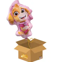 Send en ballon - Paw Patrol Skye - Send en ballon med helium