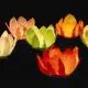 Flyde lanterner - 