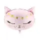 Katte folie ballon - 48x36cm - 